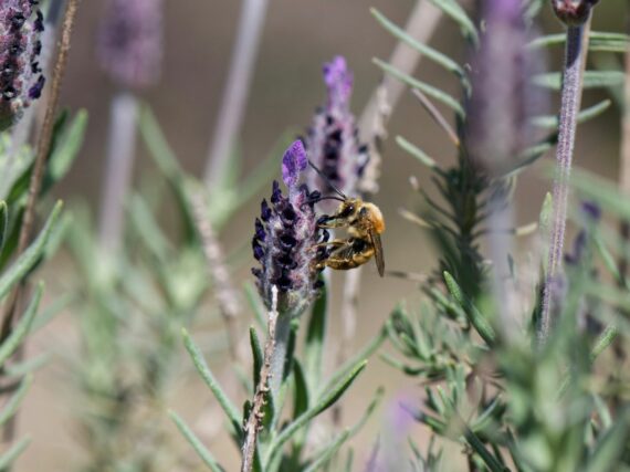 Fotografía ilustrativa del artículo