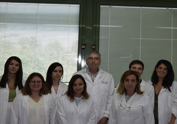 Fotografía ilustrativa del artículo