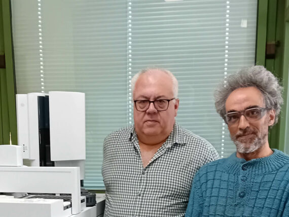 Fotografía ilustrativa del artículo