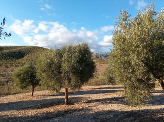 Fotografía ilustrativa del evento