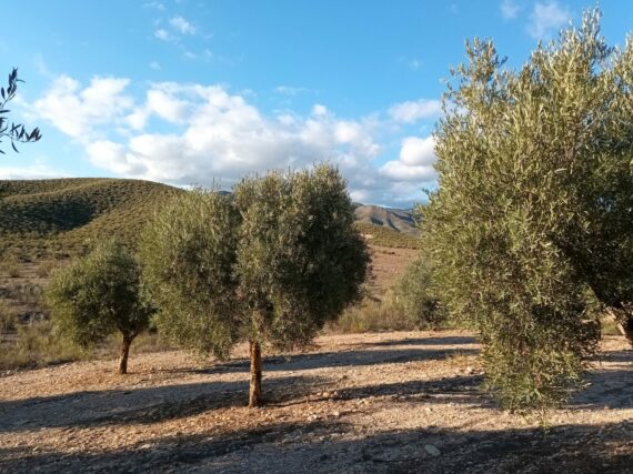 Fotografía ilustrativa del artículo