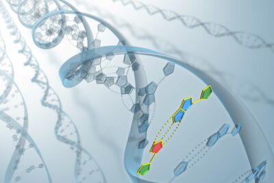 Fotografía ilustrativa del artículo