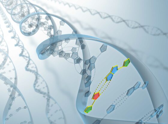 Fotografía ilustrativa del evento