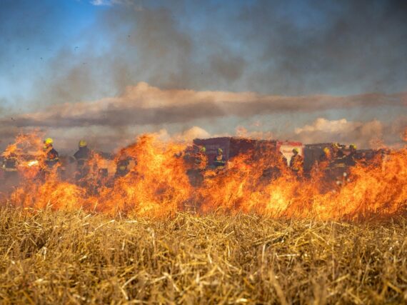 Fotografía ilustrativa del artículo