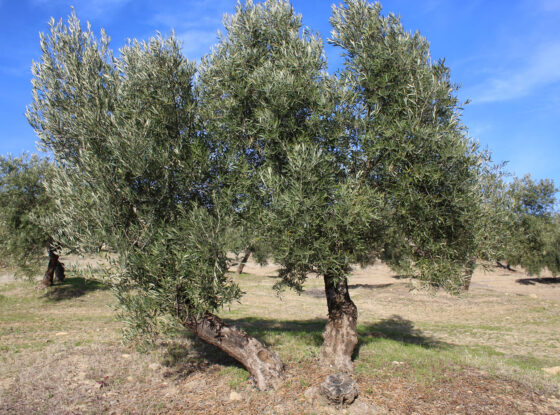 Fotografía ilustrativa del evento