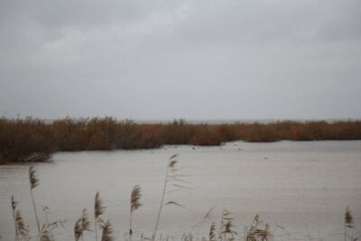 Fotografía ilustrativa del artículo