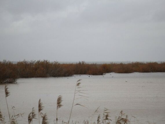 Fotografía ilustrativa del artículo