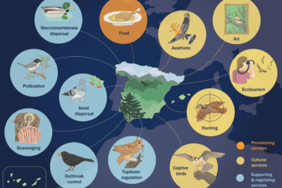 Fotografía ilustrativa del artículo