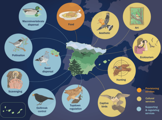 Fotografía ilustrativa del evento