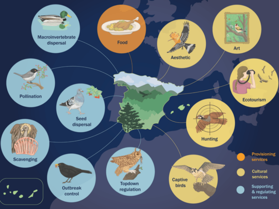 Fotografía ilustrativa del artículo