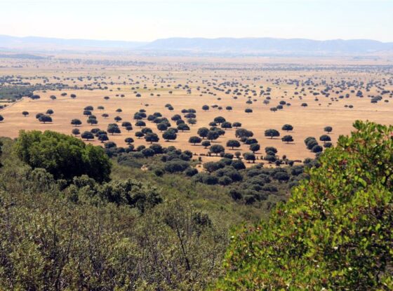 Fotografía ilustrativa del evento