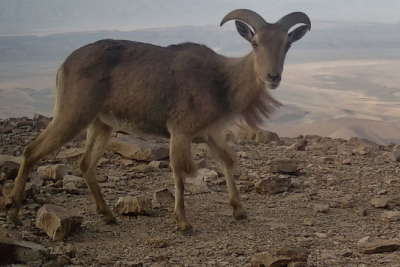 Fotografía ilustrativa del evento