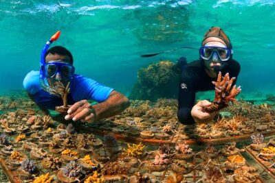 Fotografía ilustrativa del artículo