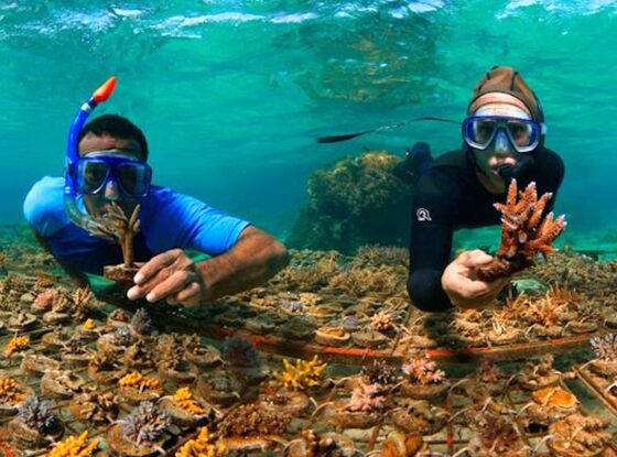 Fotografía ilustrativa del evento