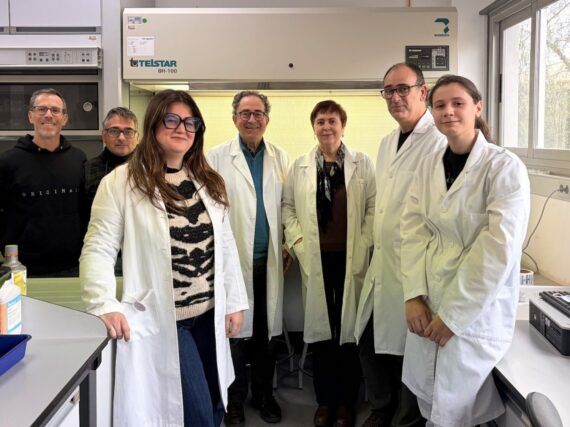 Fotografía ilustrativa del artículo