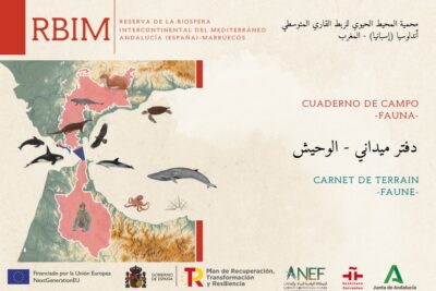 Fotografía ilustrativa del artículo