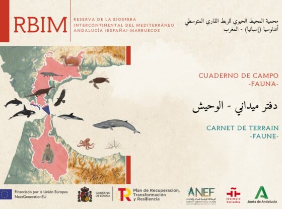 Fotografía ilustrativa del evento