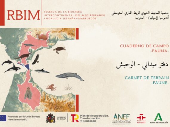 Fotografía ilustrativa del artículo