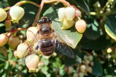 Fotografía ilustrativa del artículo