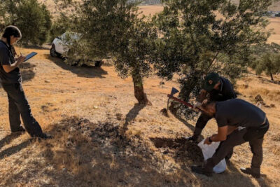 Fotografía ilustrativa del artículo