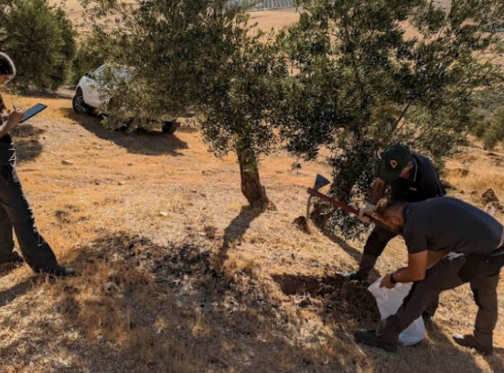 Fotografía ilustrativa del evento