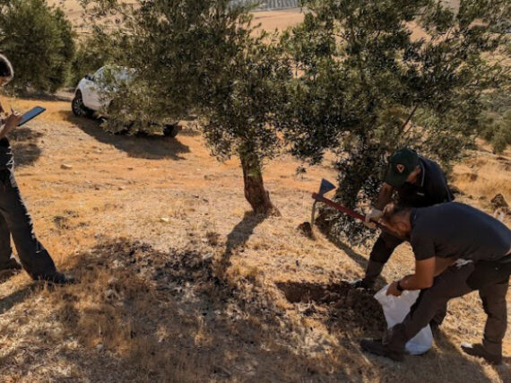 Fotografía ilustrativa del artículo