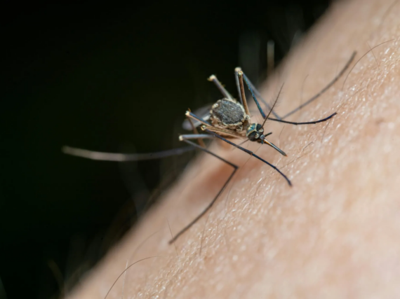 Fotografía ilustrativa del artículo