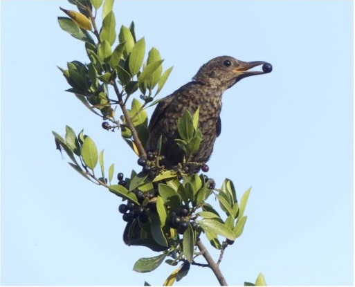 Fotografía ilustrativa del evento