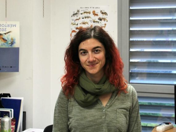 Fotografía ilustrativa del artículo