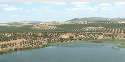 Fotografía ilustrativa del evento