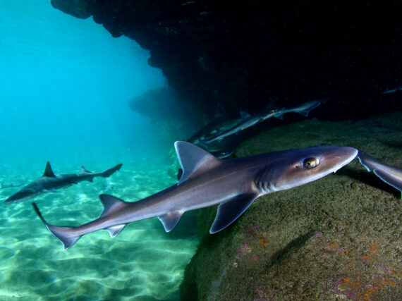 Fotografía ilustrativa del artículo