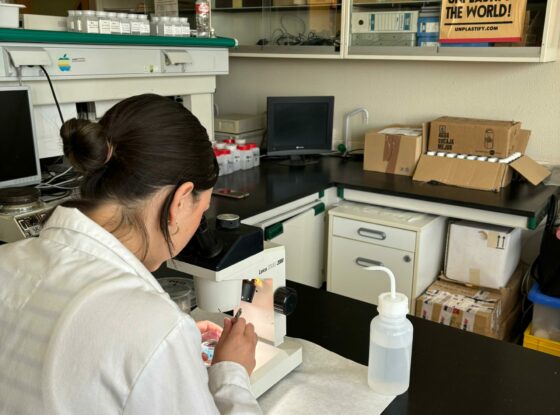 Fotografía ilustrativa del evento