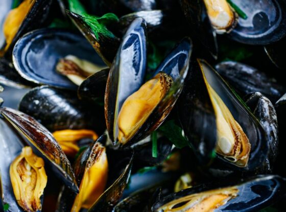 Fotografía ilustrativa del evento