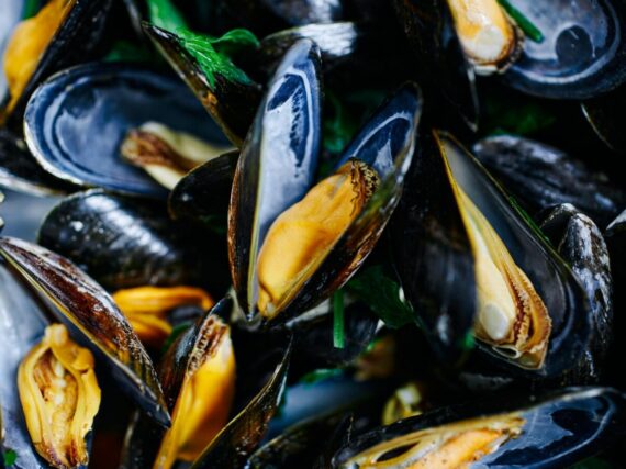 Fotografía ilustrativa del artículo