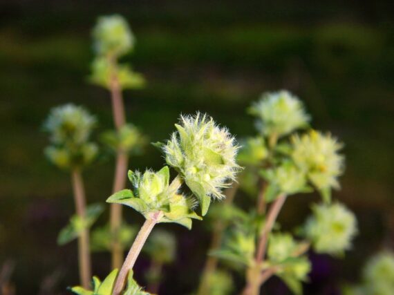 Fotografía ilustrativa del artículo