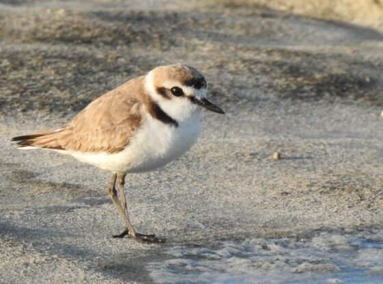 Fotografía ilustrativa del evento