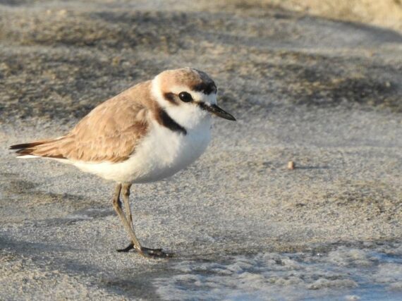 Fotografía ilustrativa del artículo