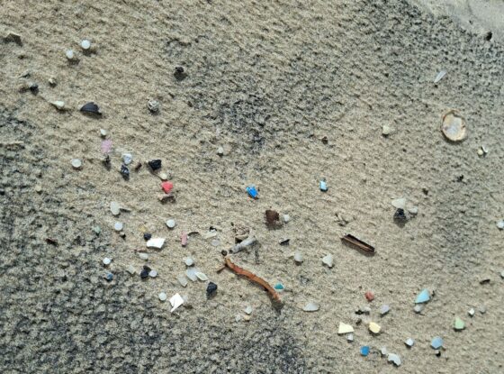 Fotografía ilustrativa del evento