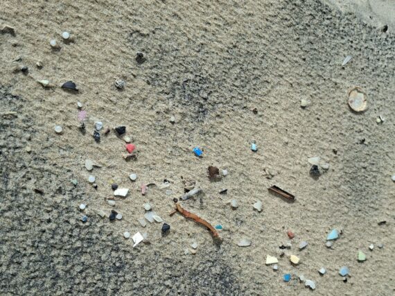 Fotografía ilustrativa del artículo