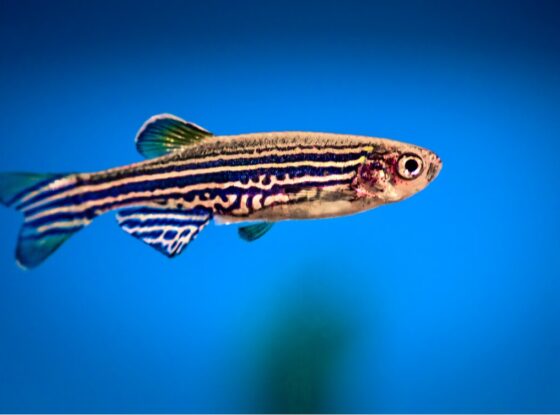 Fotografía ilustrativa del evento