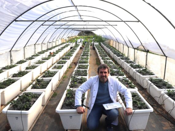 Fotografía ilustrativa del artículo