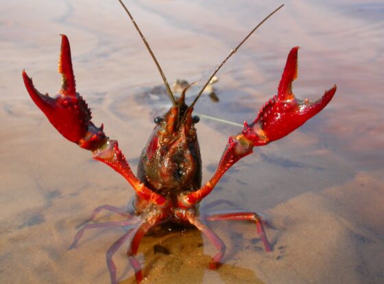 Fotografía ilustrativa del evento