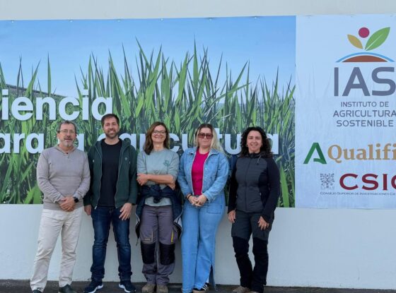 Fotografía ilustrativa del evento