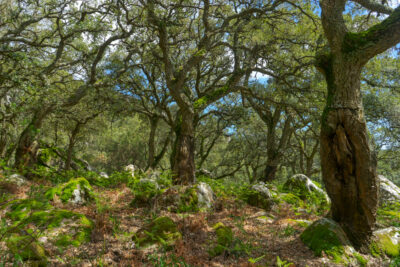 Fotografía ilustrativa del evento