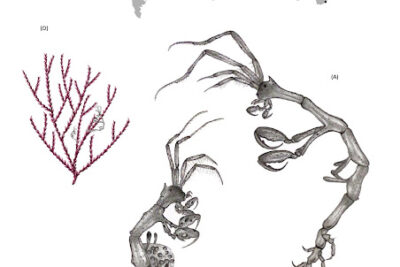 Fotografía ilustrativa del evento