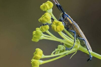 Fotografía ilustrativa del evento
