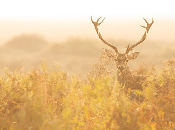 Fotografía ilustrativa del evento