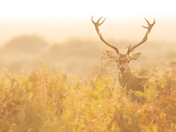 Fotografía ilustrativa del artículo
