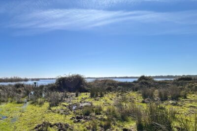 Fotografía ilustrativa del artículo