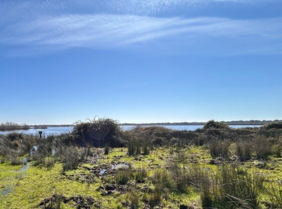 Fotografía ilustrativa del evento
